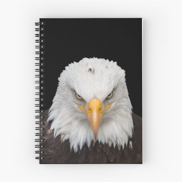 Item preview, Proud look: close-up of the imposing eagle head designed and sold by Pilot-Eugen.