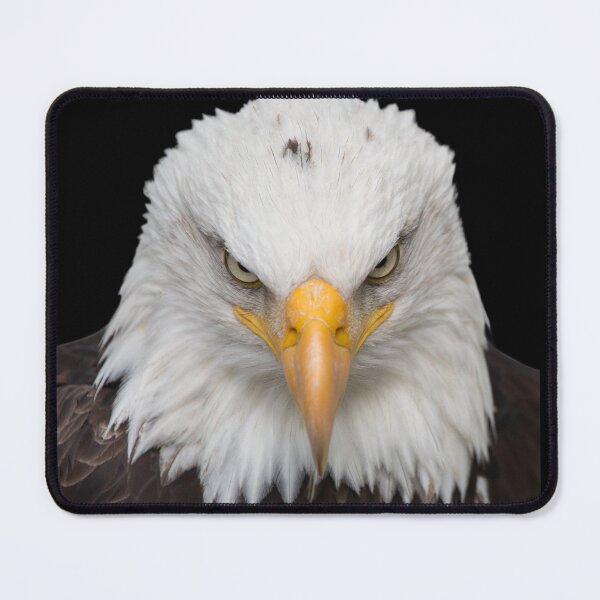 Item preview, Proud look: close-up of the imposing eagle head designed and sold by Pilot-Eugen.