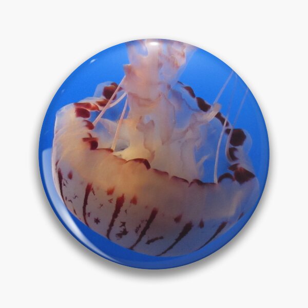 Item preview, Beautiful Jellyfish designed and sold by ghostbugs.