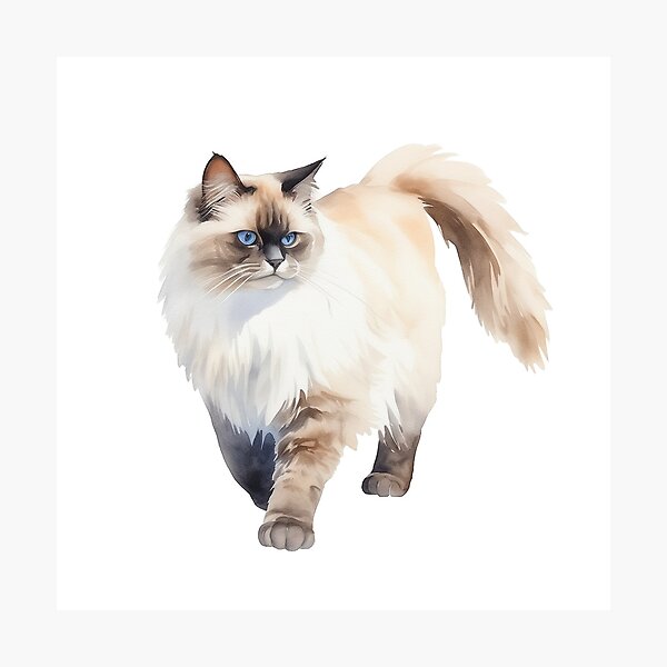 Item preview, Birman cat designed and sold by New-School-Wave.