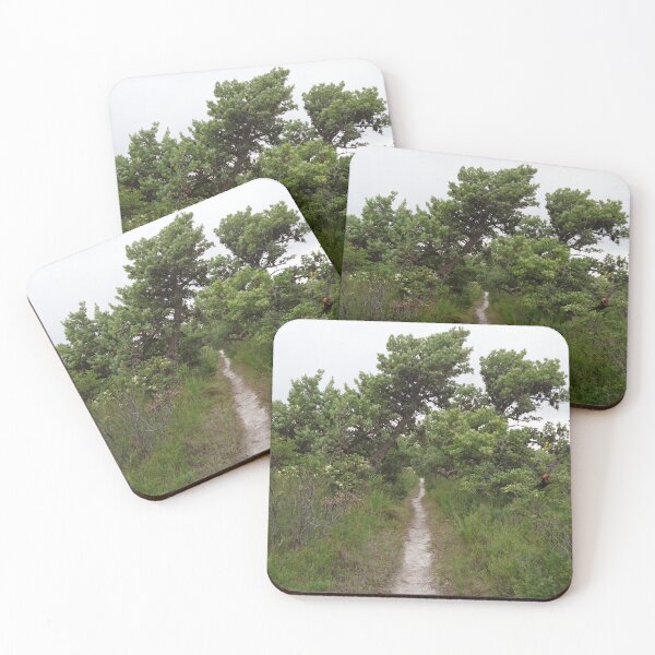 Item preview, Banksia serrata, Rocky Cape National Park, Tasmania. designed and sold by OrangeShperes.