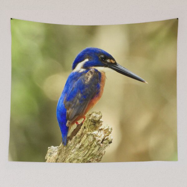 Item preview, Azure kingfisher looking for food  designed and sold by Mark Grimsley.
