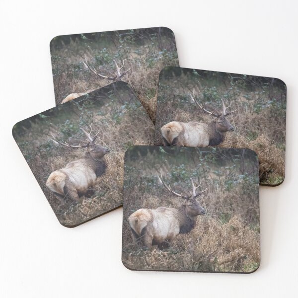 Item preview, Bull Elk designed and sold by Belinda Greb Photography.