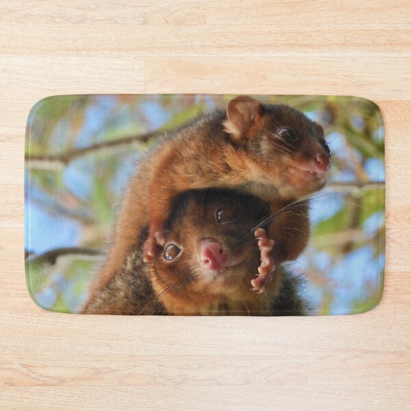 Item preview, Possum Parenthood  designed and sold by Mark Grimsley.