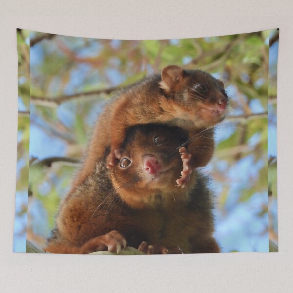 Item preview, Possum Parenthood  designed and sold by Mark Grimsley.