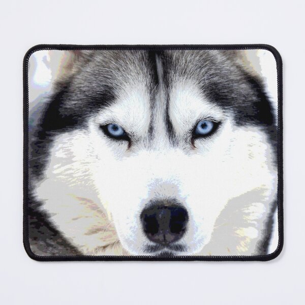 Siberian husky clearance accessories