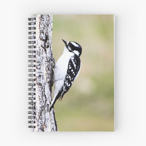 Item preview, Female Downy Woodpecker designed and sold by Alyce Taylor.