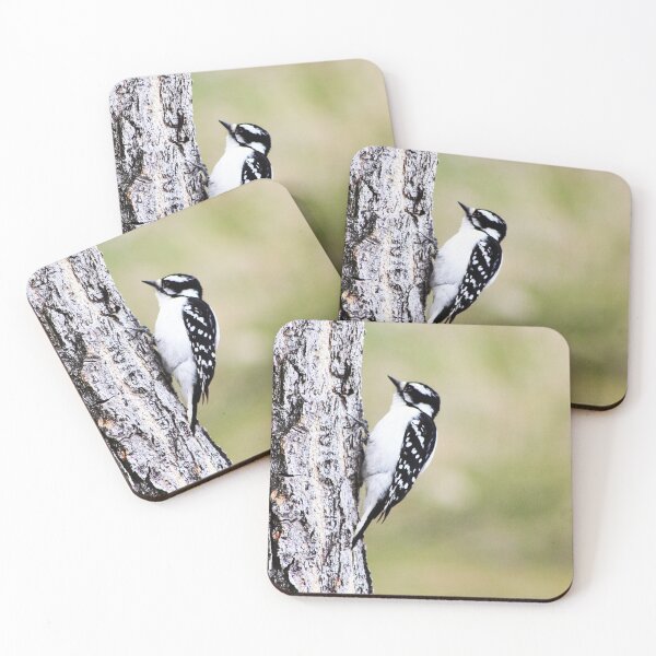 Item preview, Female Downy Woodpecker designed and sold by Alyce Taylor.