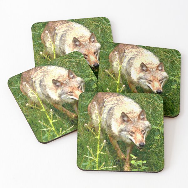 Aperçu de l'œuvre Loup #5 créée et vendue par KingdomWildlife.
