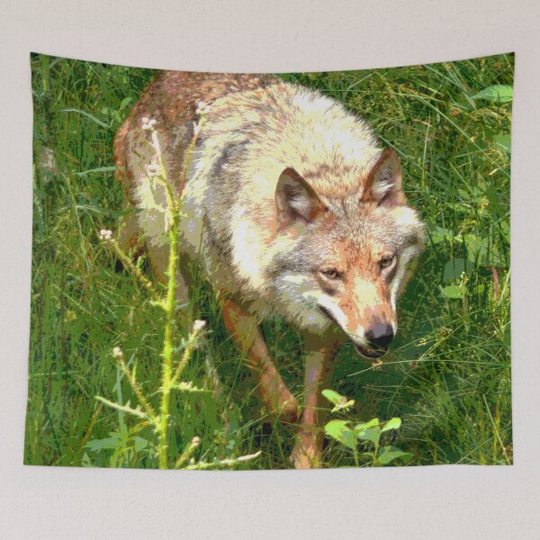 Aperçu de l'œuvre Loup #5 créée et vendue par KingdomWildlife.