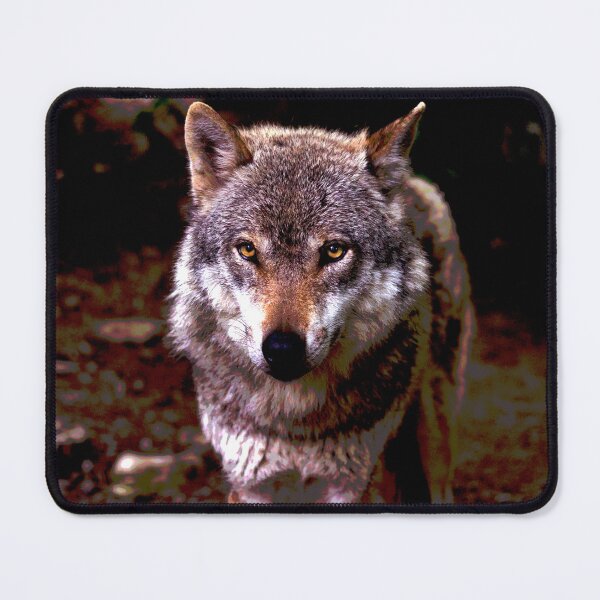 Item preview, Wolf #8 designed and sold by KingdomWildlife.