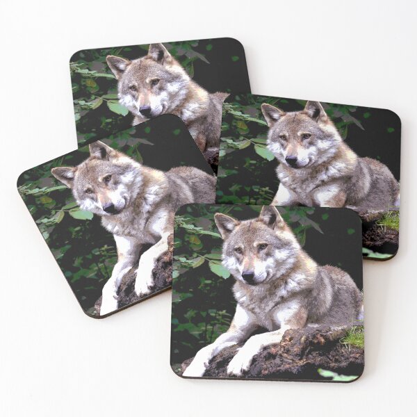 Aperçu de l'œuvre Loup #10 créée et vendue par KingdomWildlife.