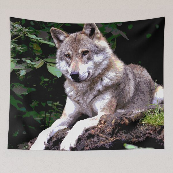 Aperçu de l'œuvre Loup #10 créée et vendue par KingdomWildlife.