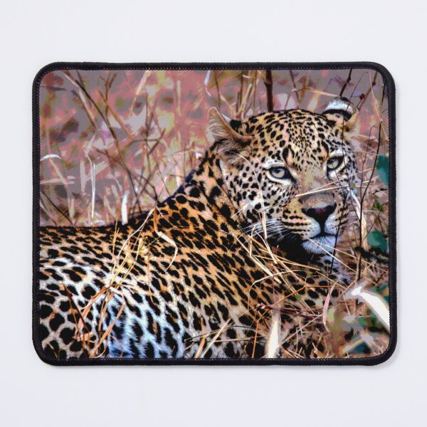 Item preview, Jaguar designed and sold by KingdomWildlife.