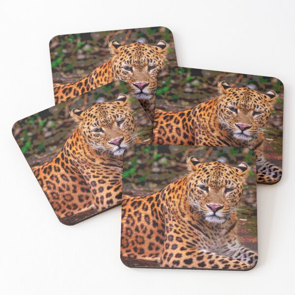 Item preview, Leopard #4 designed and sold by KingdomWildlife.