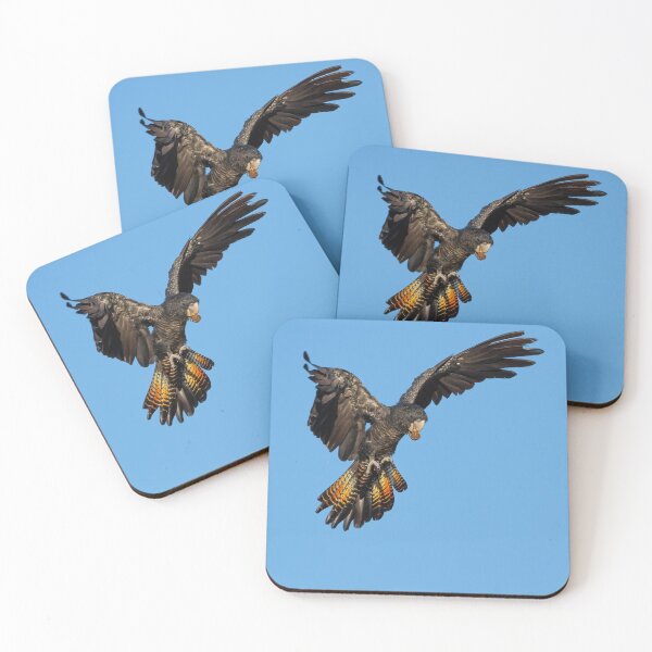 Item preview, Red-tailed Black Cockatoo Landing designed and sold by Peter Caddy.