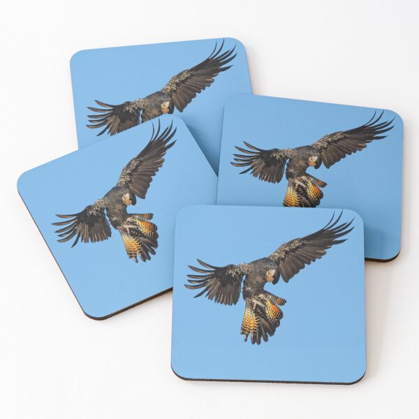 Item preview, Red-tailed Black Cockatoo Landing designed and sold by Peter Caddy.