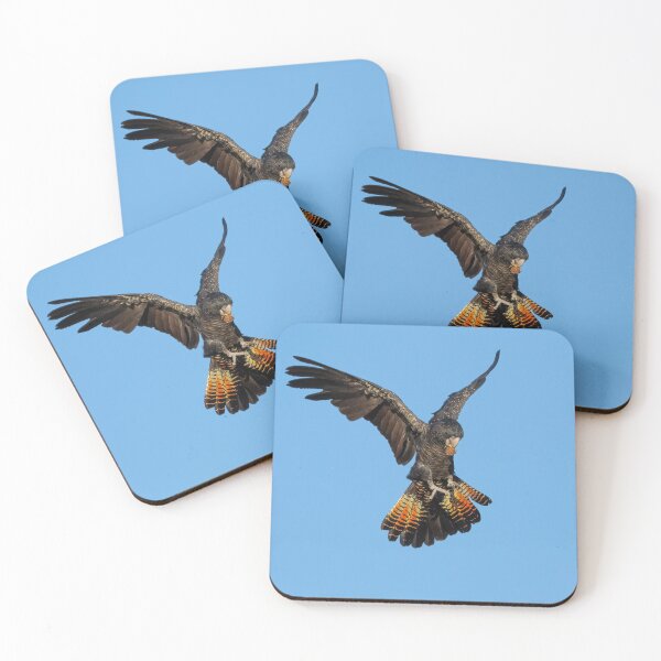 Item preview, Red-tailed Black Cockatoo Landing designed and sold by Peter Caddy.