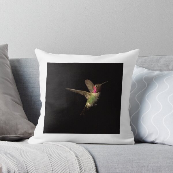 Item preview, 233 Rufus Hummingbird Black Background designed and sold by ptosis.