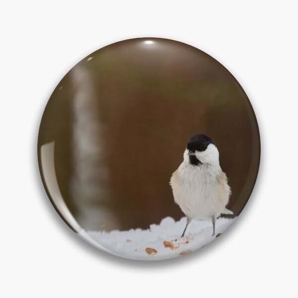 Item preview, Oh all these nuts. Willow tit designed and sold by Jouko Lehto Photography.