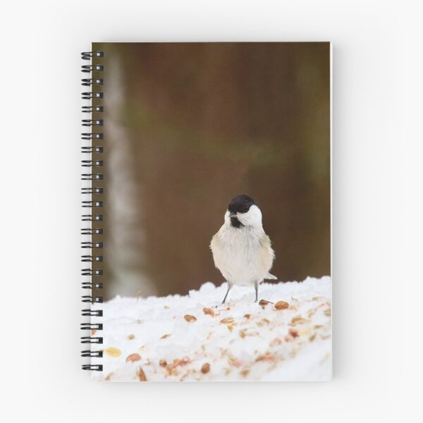Item preview, Oh all these nuts. Willow tit designed and sold by Jouko Lehto Photography.