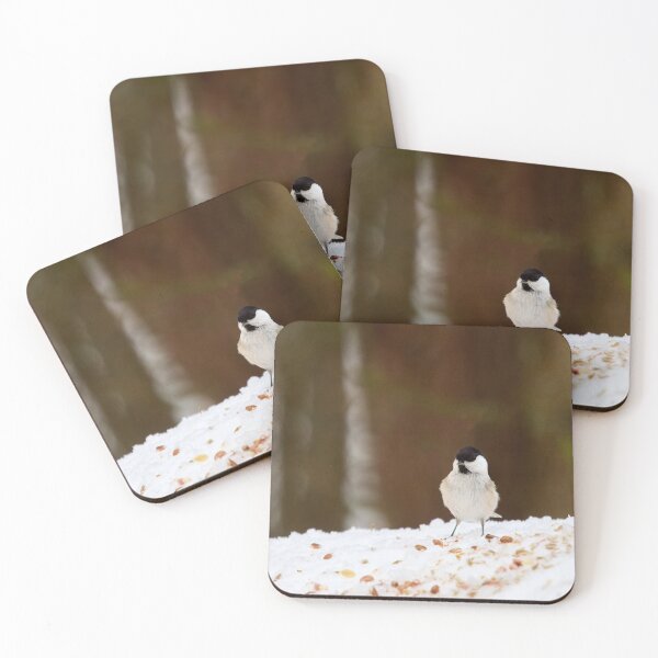 Item preview, Oh all these nuts. Willow tit designed and sold by Jouko Lehto Photography.
