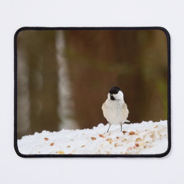 Item preview, Oh all these nuts. Willow tit designed and sold by Jouko Lehto Photography.