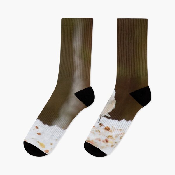Item preview, Oh all these nuts. Willow tit designed and sold by Jouko Lehto Photography.