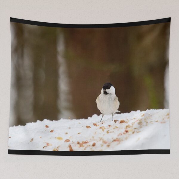 Item preview, Oh all these nuts. Willow tit designed and sold by Jouko Lehto Photography.