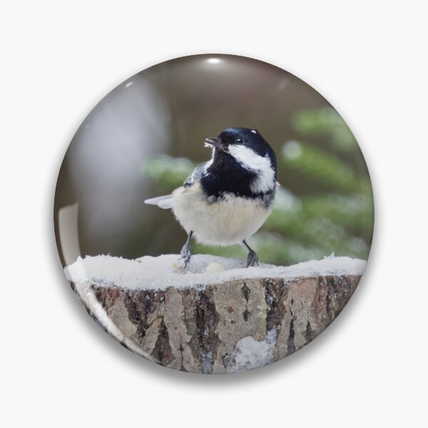 Item preview, No no no it is not an egg. Coal Tit designed and sold by Jouko Lehto Photography.