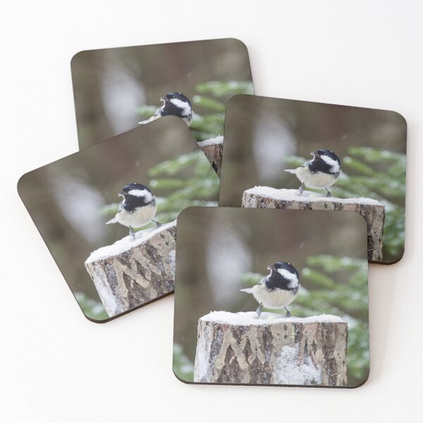 Item preview, No no no it is not an egg. Coal Tit designed and sold by Jouko Lehto Photography.
