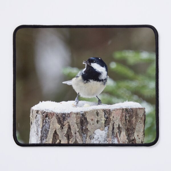 Item preview, No no no it is not an egg. Coal Tit designed and sold by Jouko Lehto Photography.