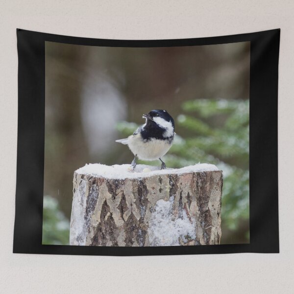 Item preview, No no no it is not an egg. Coal Tit designed and sold by Jouko Lehto Photography.