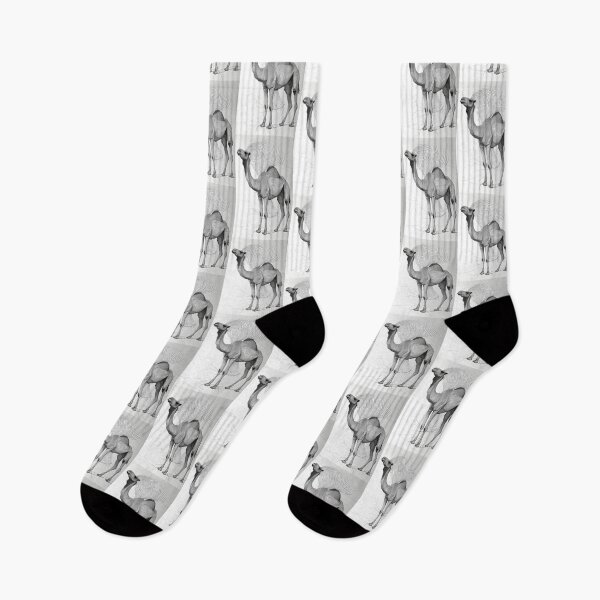 Item preview, Linear Image of a Camel: Minimalistic Elegance in an Abstract Graphic Design designed and sold by Piotrek0001.