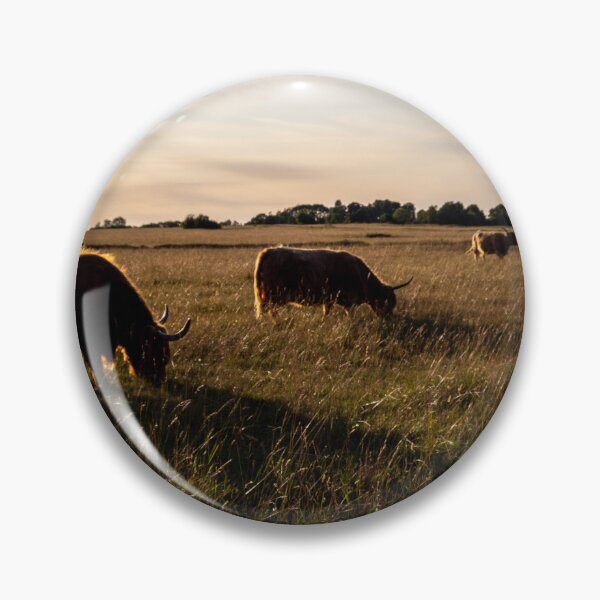 Artikelvorschau, Friedlicher Abendspaziergang | Cotswolds entworfen und verkauft von Cotswolds Photographer.