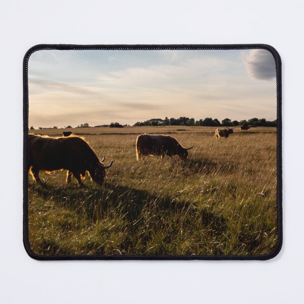 Item preview, Peaceful Evening Walk | Cotswolds designed and sold by Cotswolds Photographer.