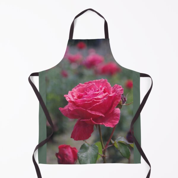 Item preview, Deep Pink Garden Rose, Perth, Western Australia designed and sold by lezvee.