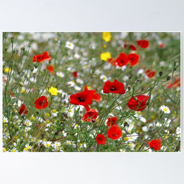 Item preview, wildflower meadow  designed and sold by Simon-dell.