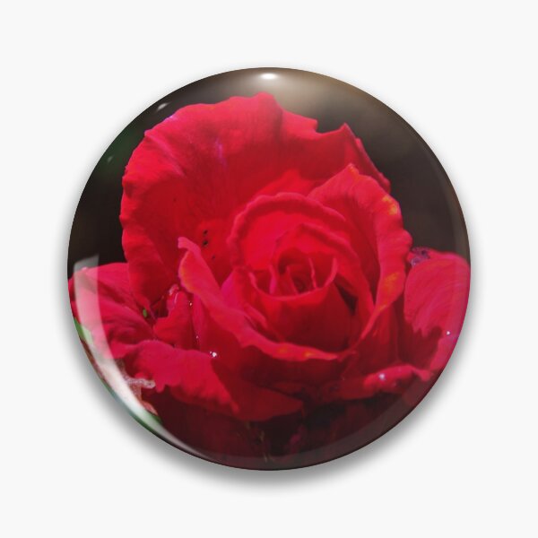 Item preview, Garden Rose, Perth WA designed and sold by lezvee.