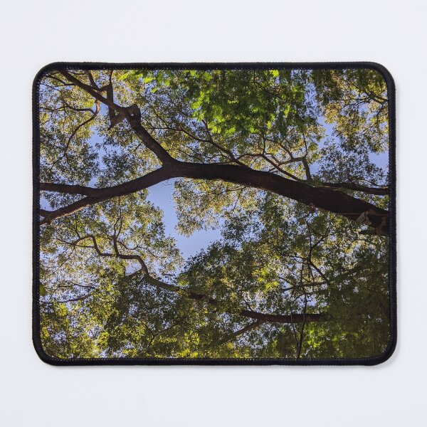 Item preview, Trees designed and sold by digitalartfree.