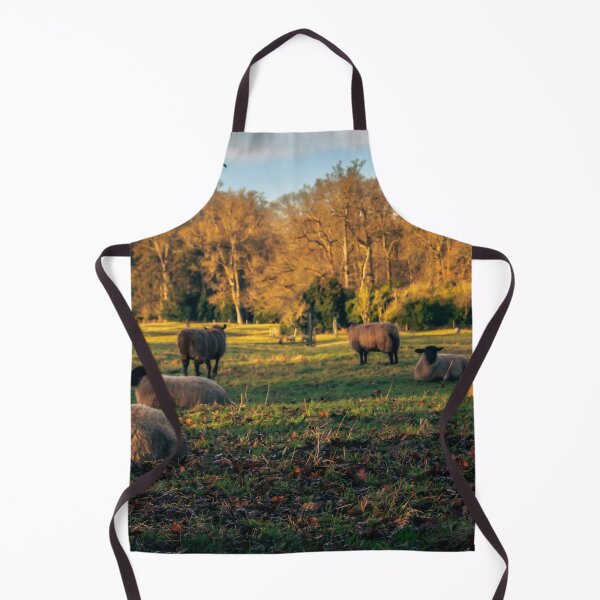 Artikelvorschau, Schafsymmetrie | Cotswolds entworfen und verkauft von Cotswolds Photographer.