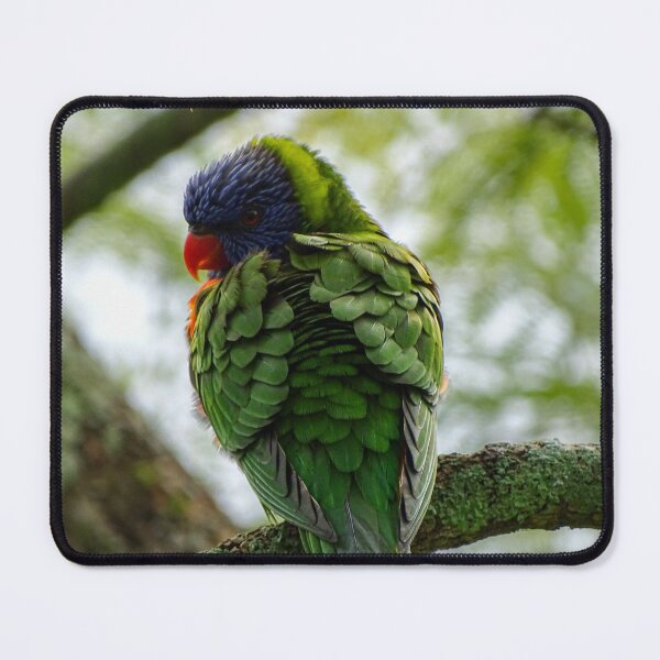 Item preview, Australian Bird designed and sold by CoastandCountry.