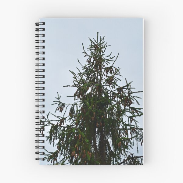 Item preview, Tree Reaching to the Sky designed and sold by bertsworks300.