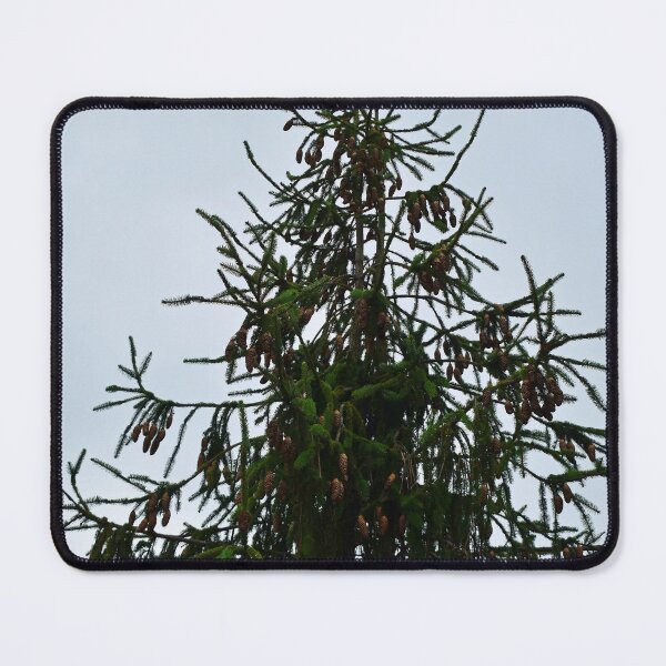 Item preview, Tree Reaching to the Sky designed and sold by bertsworks300.
