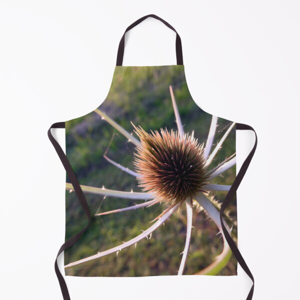 Item preview, Teasel Spider designed and sold by JonDelorme.