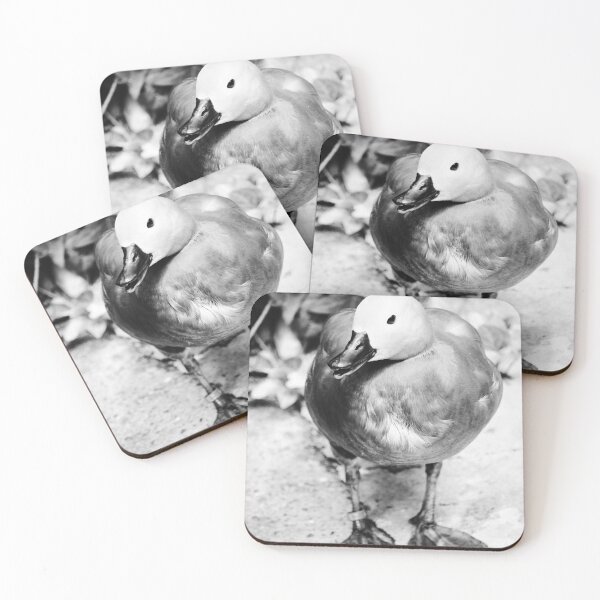 Item preview, Ringed Duck Jerez Zoo Black and White Vertical designed and sold by eddiebarronshop.