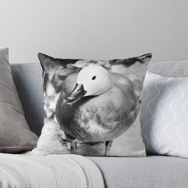 Item preview, Ringed Duck Jerez Zoo Black and White Vertical designed and sold by eddiebarronshop.