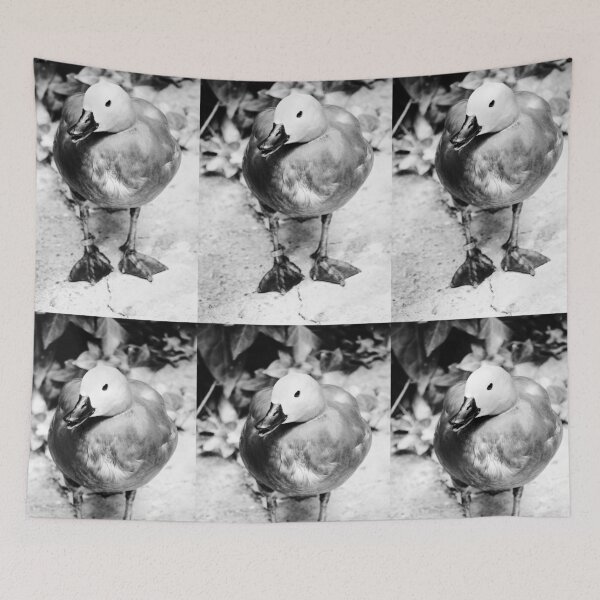 Item preview, Ringed Duck Jerez Zoo Black and White Vertical designed and sold by eddiebarronshop.