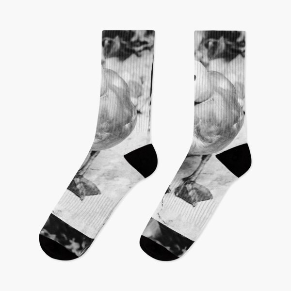 Item preview, Ringed Duck Jerez Zoo Black and White Vertical designed and sold by eddiebarronshop.