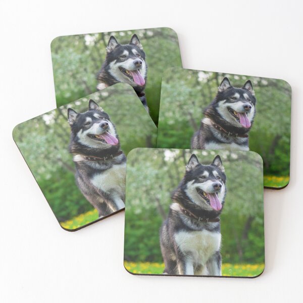 Item preview, Charming Alaskan Malamute Dog designed and sold by VanGaldo.